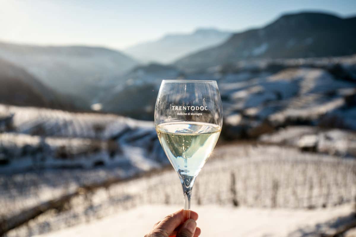 Istituto Trento Doc, il nuovo corso: Stefano Fambri presidente